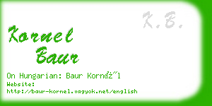 kornel baur business card